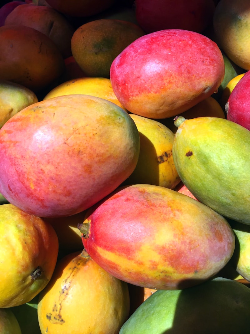 manioc